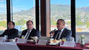 0113 Reunión con Partidos Juicio en línea 10