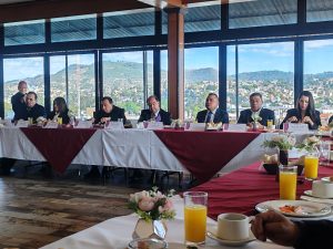 0113 Reunión con Partidos Juicio en línea 2