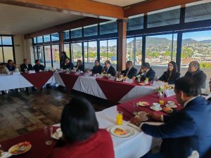 0113 Reunión con Partidos Juicio en línea 3