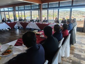 0113 Reunión con Partidos Juicio en línea 5