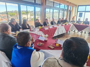 0113 Reunión con Partidos Juicio en línea 6