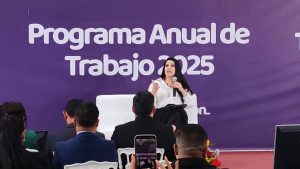 0131 Presentación Programa de Trabajo IAIP 5